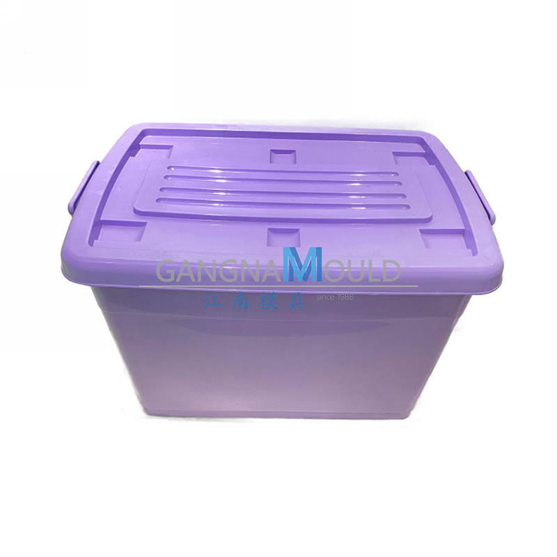 JN-458 Plastic household clothing storage box mold