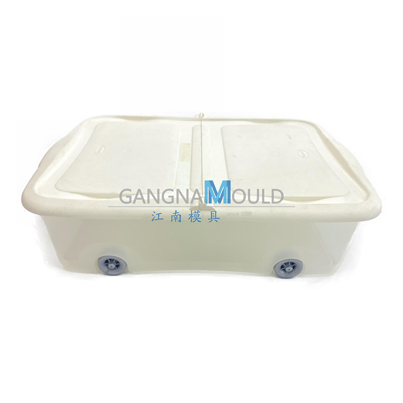 JN-461 Plastic household clothing storage box mold