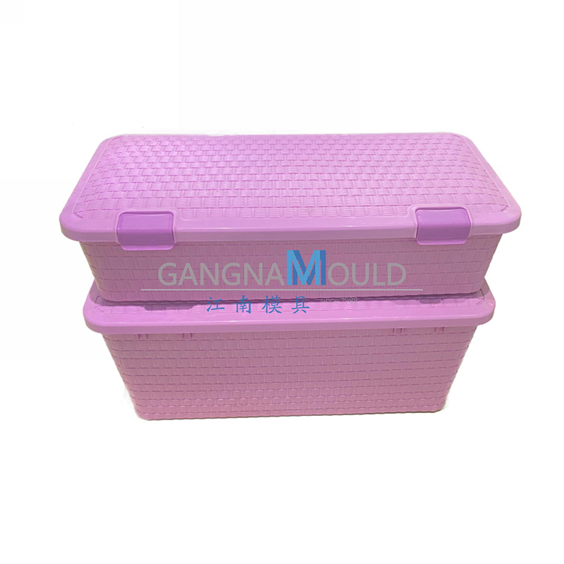 JN-454 Plastic household clothing storage box mold