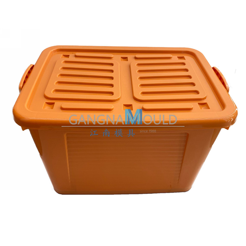 JN-464 Plastic household clothing storage box mold