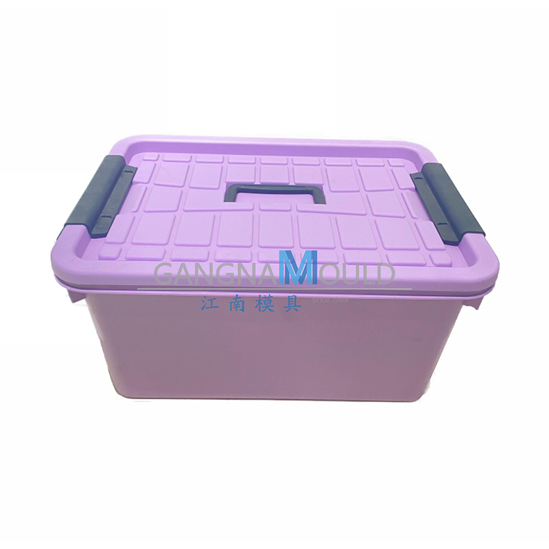 JN-455 Plastic household clothing storage box mold