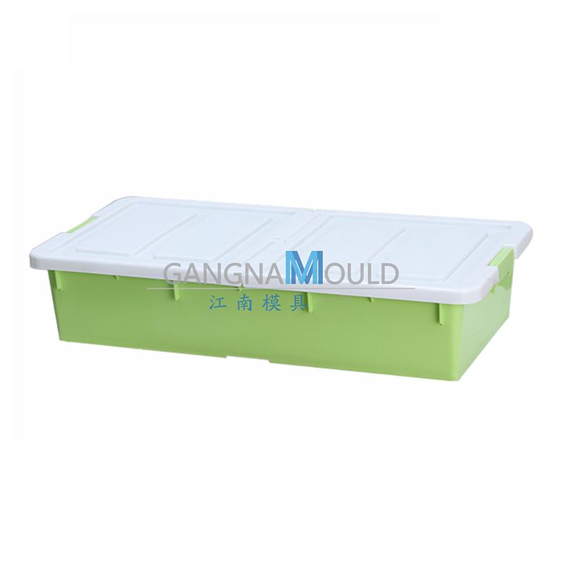 JN-456 Plastic household clothing storage box mold