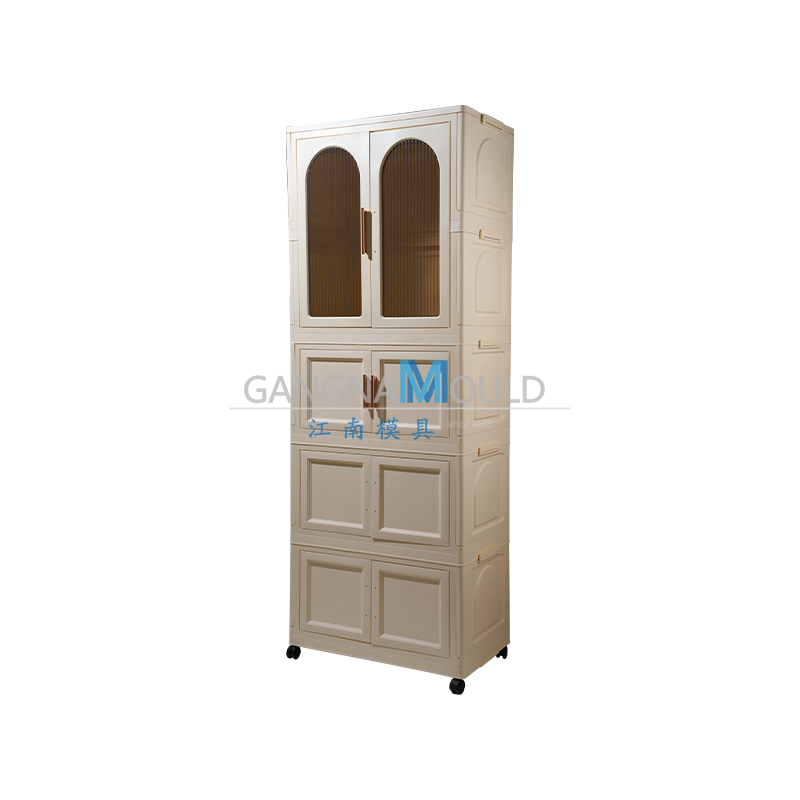 JN-498 Plastic clothing storage cabinet injection mold