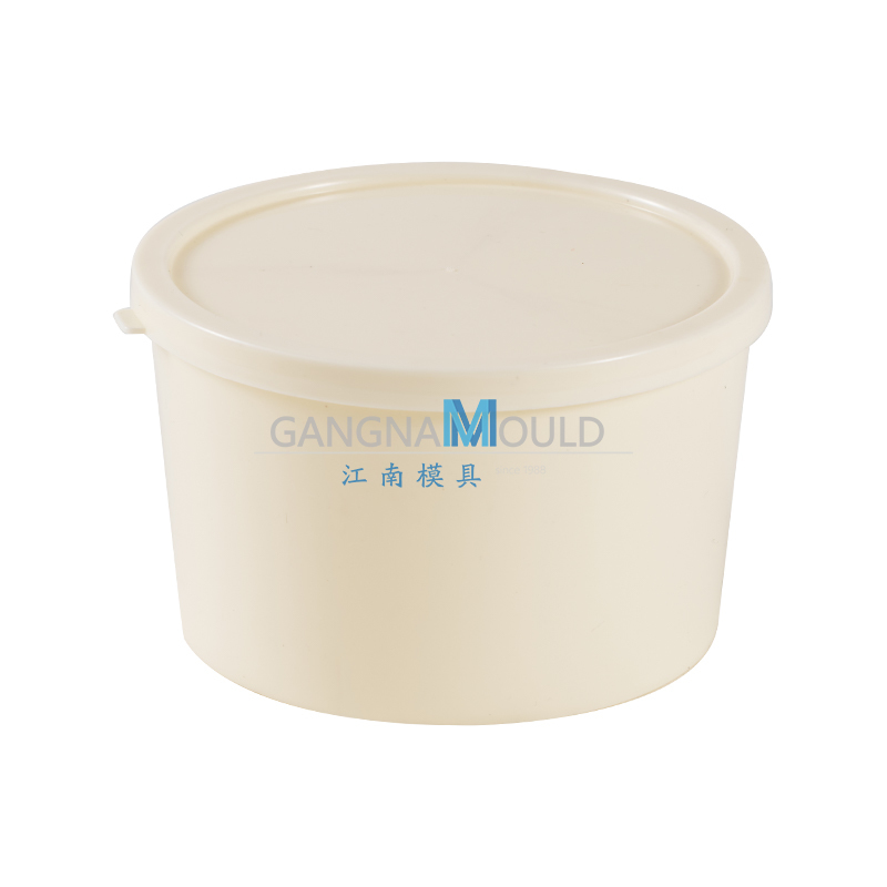 JN-517 Kitchen Plastic Storage Box Mold